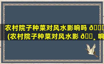农村院子种菜对风水影响吗 🕊 (农村院子种菜对风水影 🕸 响吗*
)